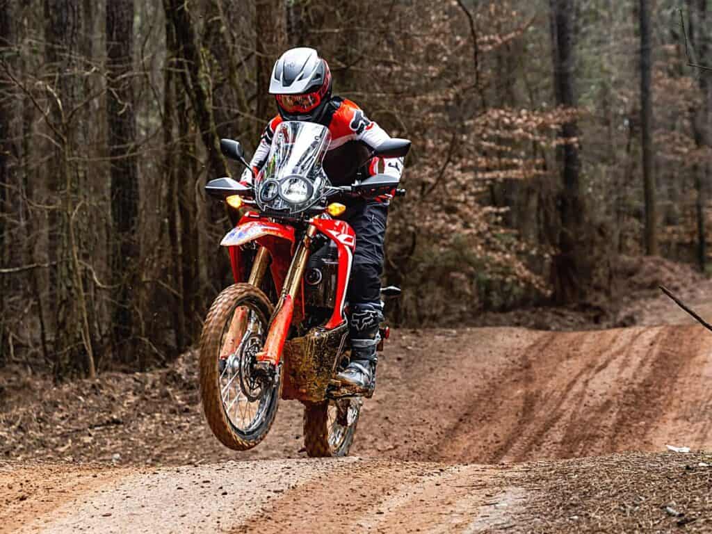 Dual-Sport Rider Performing a Wheelie on a Honda CRF300L Rally Bike on a Dirt Road in a Dense Forest