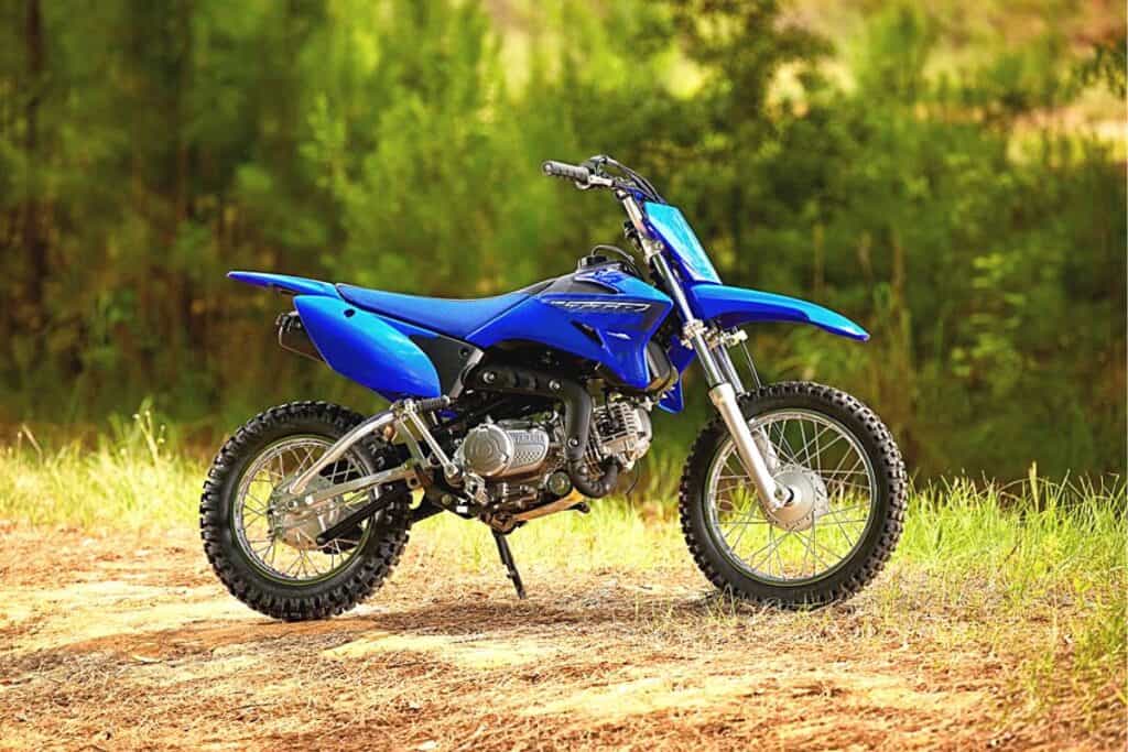 A Yamaha TT-R110 dirt bike positioned in a natural setting with a backdrop of trees and greenery. The bike is predominantly blue with visible branding and design elements characteristic of Yamaha's styling. It has a compact frame, suitable for off-road terrain with knobby tires, a small exhaust, and a simple suspension setup.