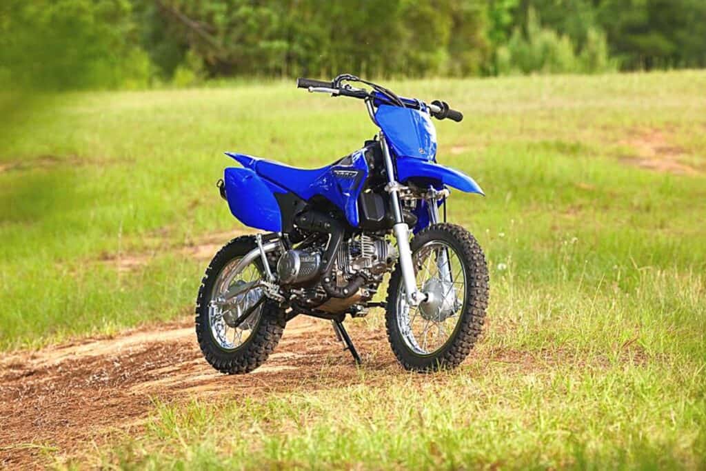 A Yamaha TT-R110 dirt bike. The bike is prominently displayed in an outdoor setting with a grassy field and trees in the background. It features a vivid blue color scheme that is typical of Yamaha motorcycles. The design includes a compact frame, a raised front fender, chunky off-road tires, and a straightforward, accessible engine layout.