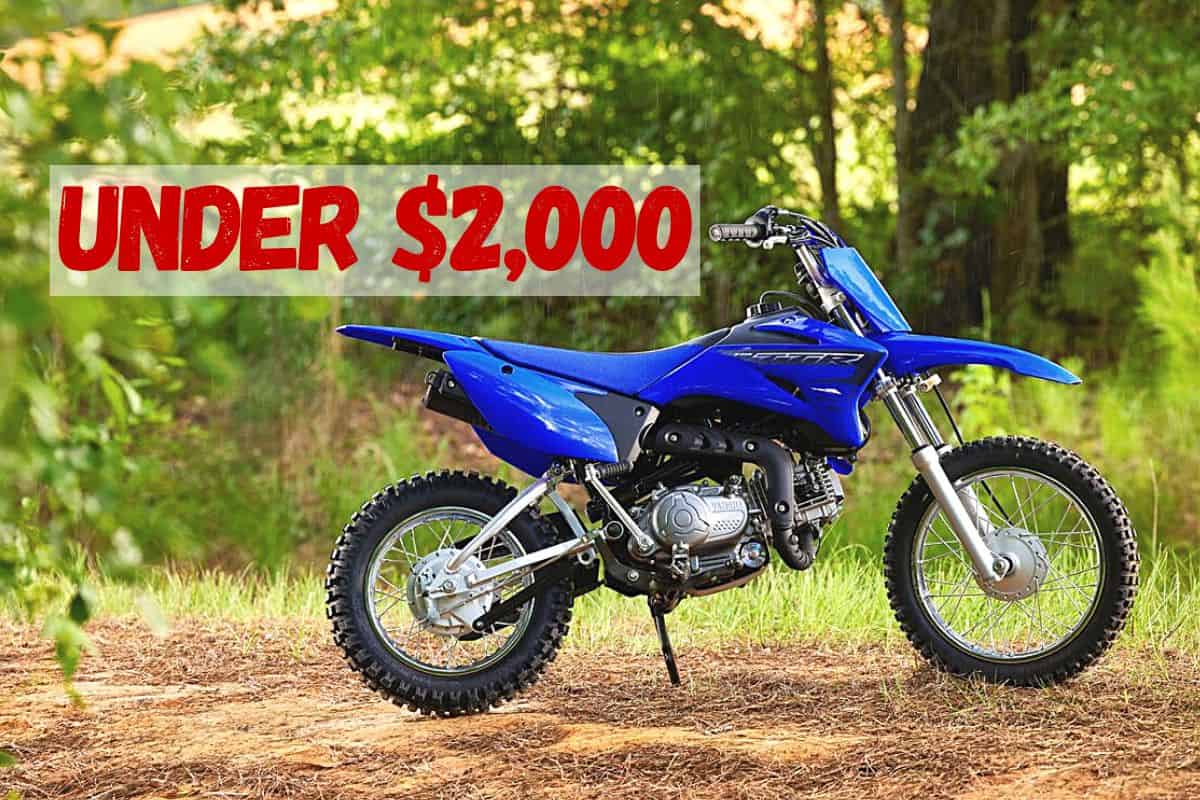 A blue dirt bike, positioned on a natural, grassy path in a wooded area. The bike has a small engine, and knobby tires, and is designed for rough terrain riding. On the image, there is a prominent red overlay text that reads "UNDER $2,000,".